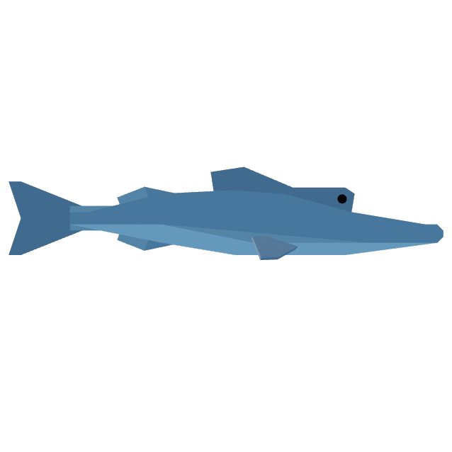 Chinfish