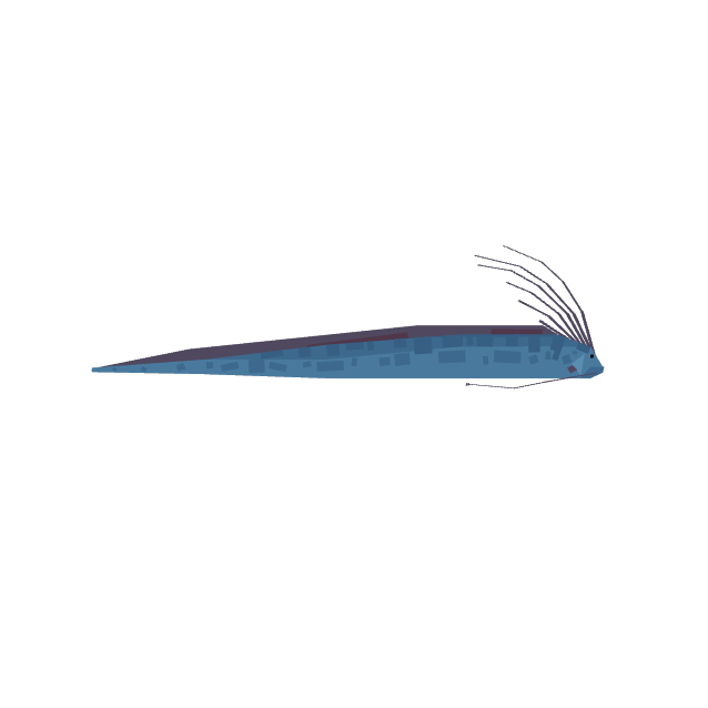 Oarfish